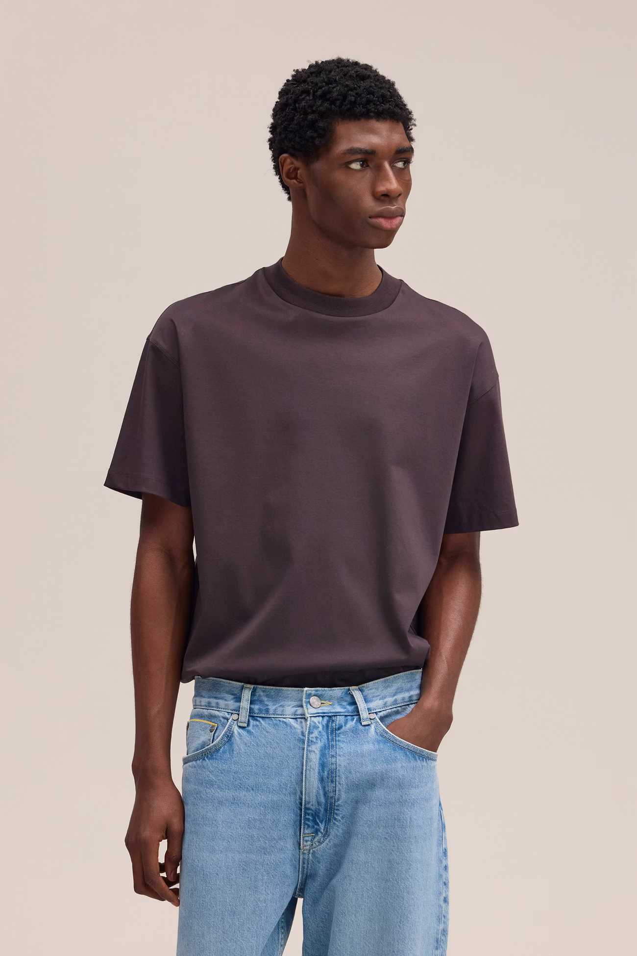 Lionel Mercerized Cotton T-shirt 3525 Deep Truffle