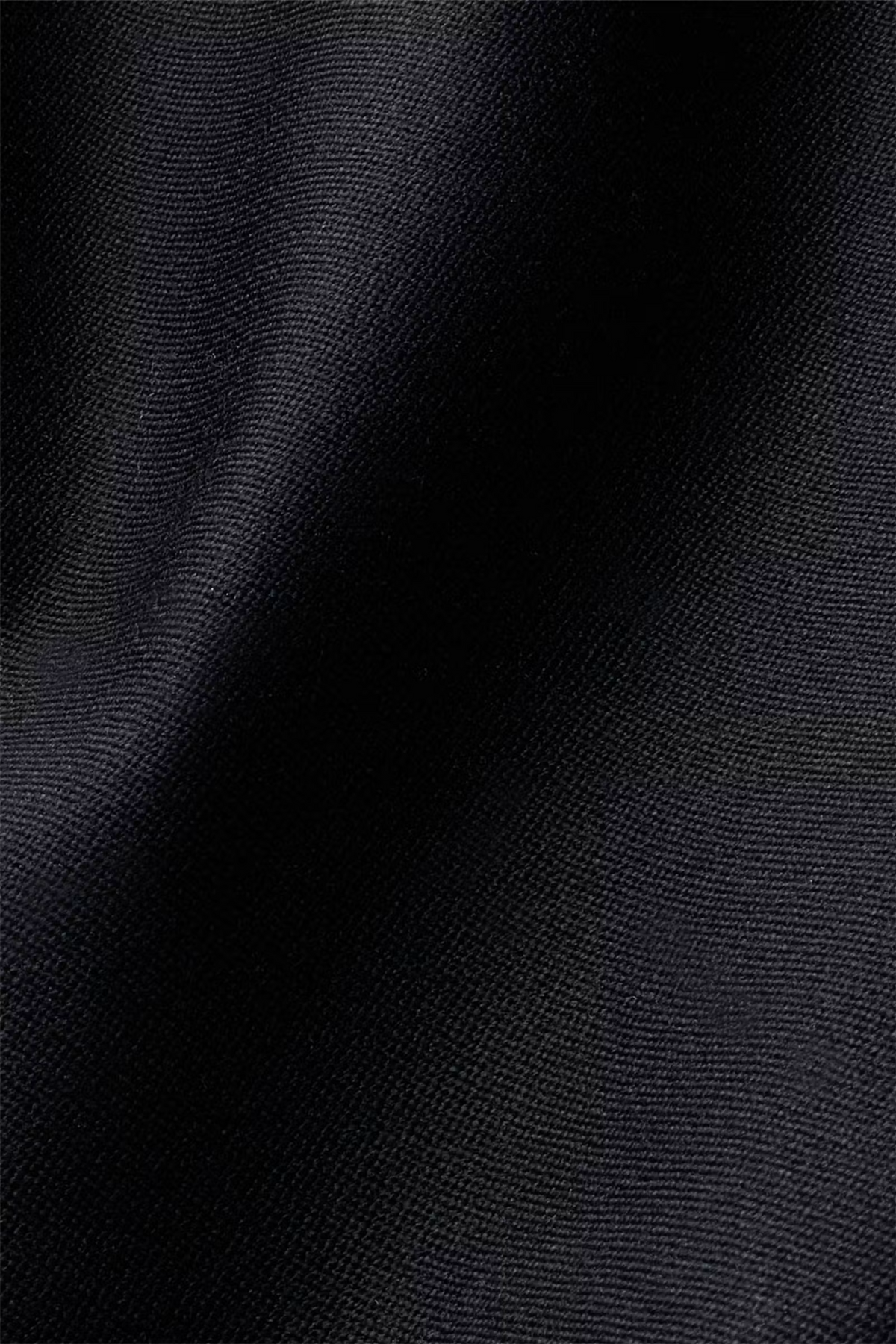 Pinta Wool Pleated Trousers Black