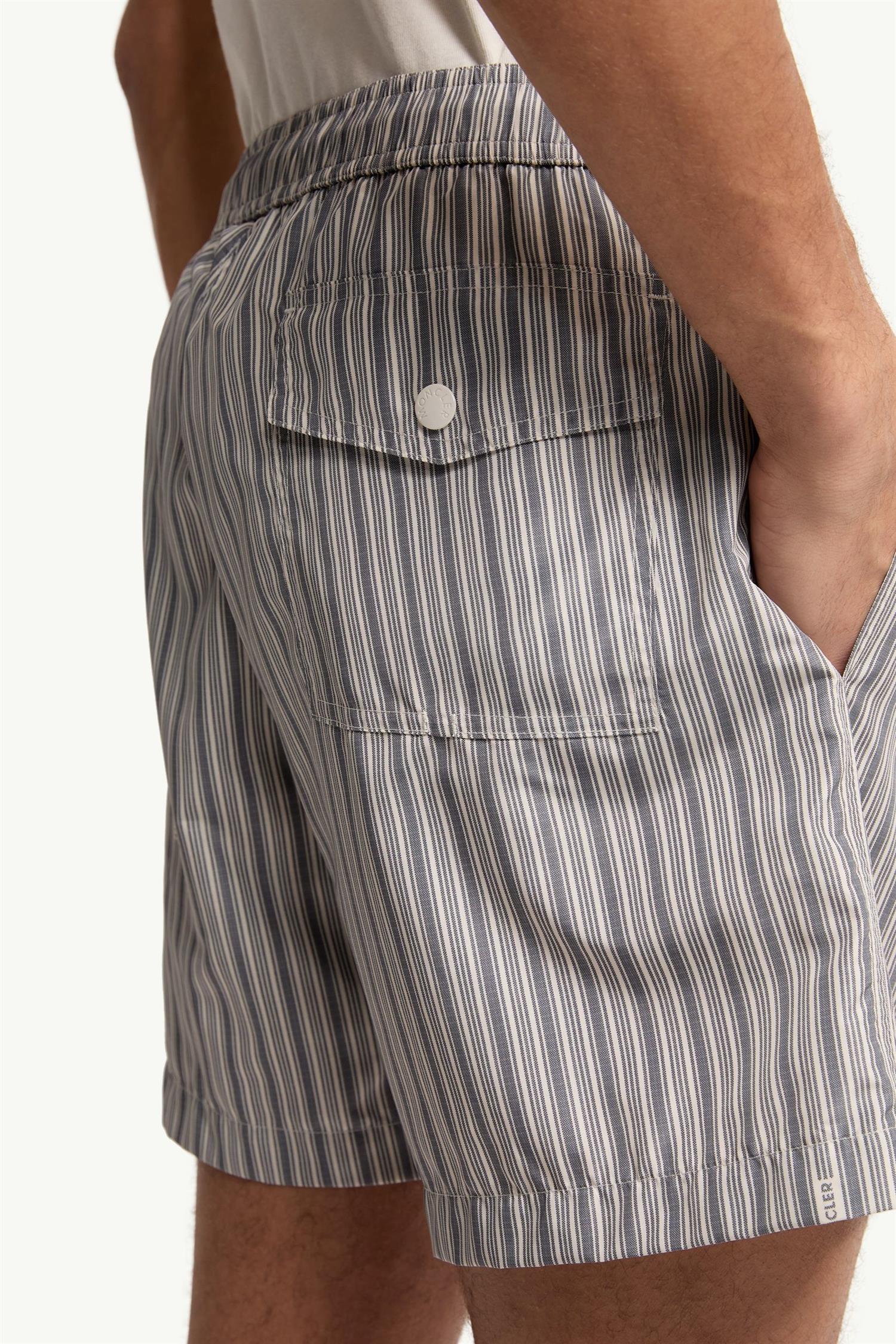 Striped Swim Shorts Blue